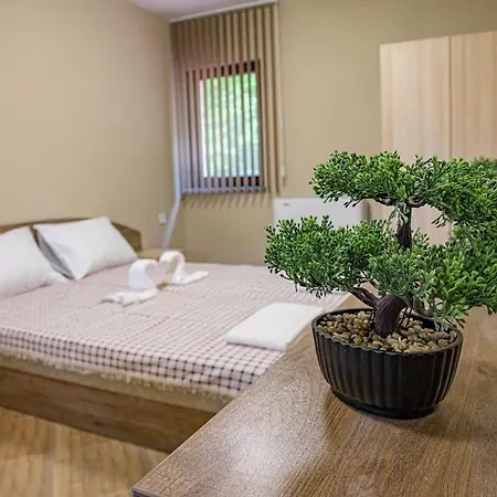 Maison d'hôtes саня