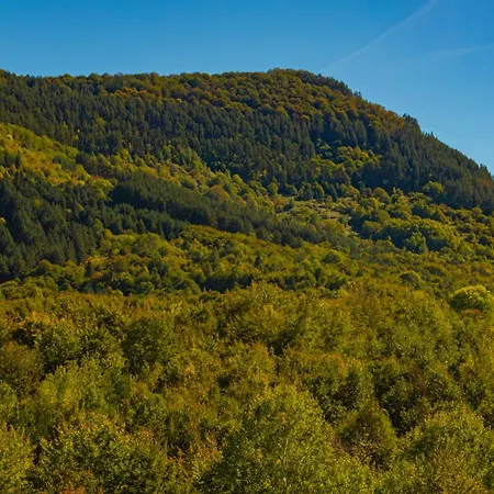 Vendégház саня Aprilci