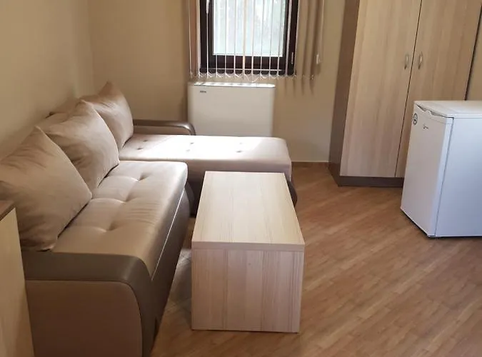 招待所 саня 阿普里尔齐