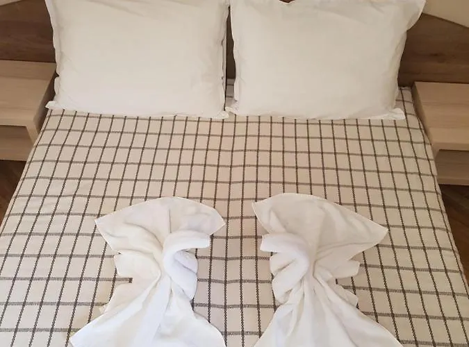 саня 阿普里尔齐