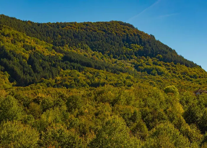 招待所 саня 阿普里尔齐